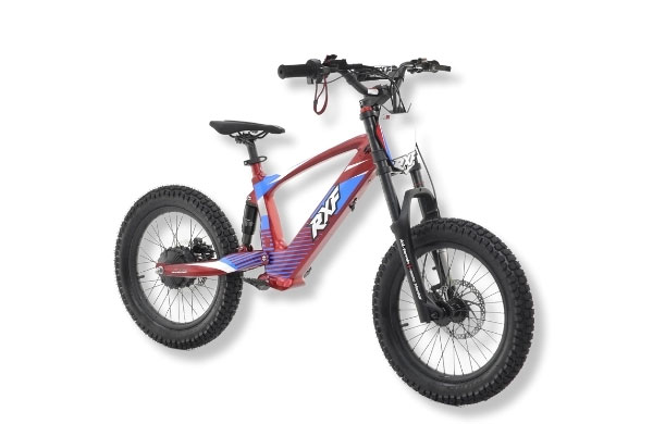 Destiny-Powersports-E-Bike-EVO-18-icon